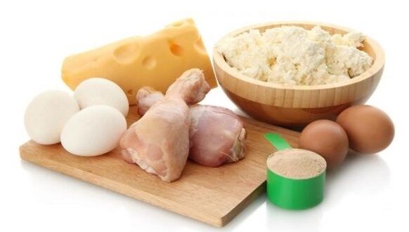 protein foods for diet
